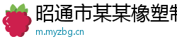 昭通市某某橡塑制品维修站